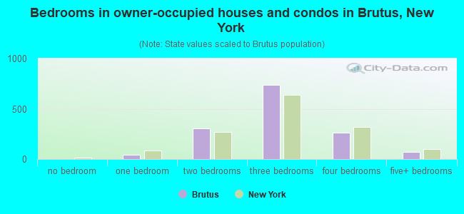 Bedrooms in owner-occupied houses and condos in Brutus, New York