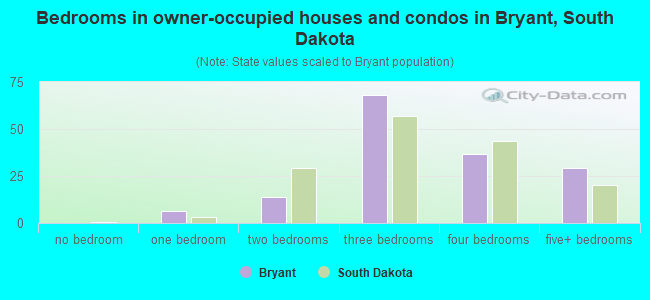 Bedrooms in owner-occupied houses and condos in Bryant, South Dakota