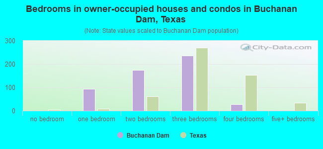 Bedrooms in owner-occupied houses and condos in Buchanan Dam, Texas