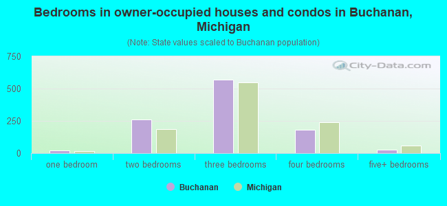 Bedrooms in owner-occupied houses and condos in Buchanan, Michigan
