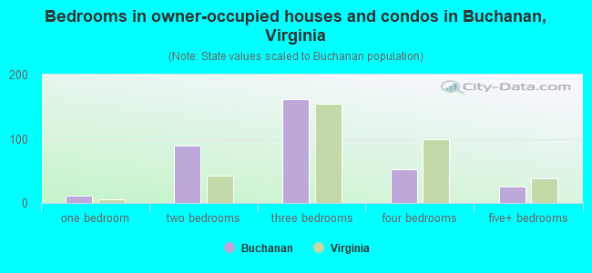 Bedrooms in owner-occupied houses and condos in Buchanan, Virginia