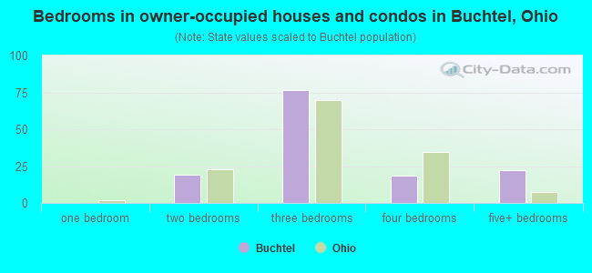 Bedrooms in owner-occupied houses and condos in Buchtel, Ohio