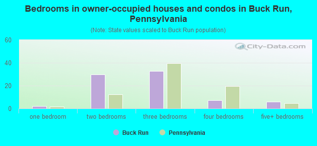 Bedrooms in owner-occupied houses and condos in Buck Run, Pennsylvania