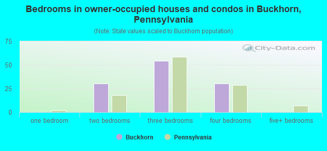 Bedrooms in owner-occupied houses and condos in Buckhorn, Pennsylvania
