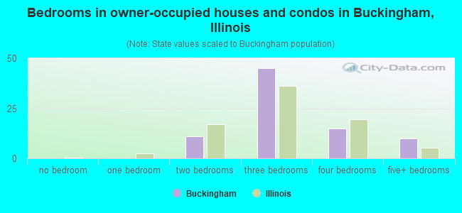 Bedrooms in owner-occupied houses and condos in Buckingham, Illinois
