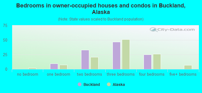 Bedrooms in owner-occupied houses and condos in Buckland, Alaska