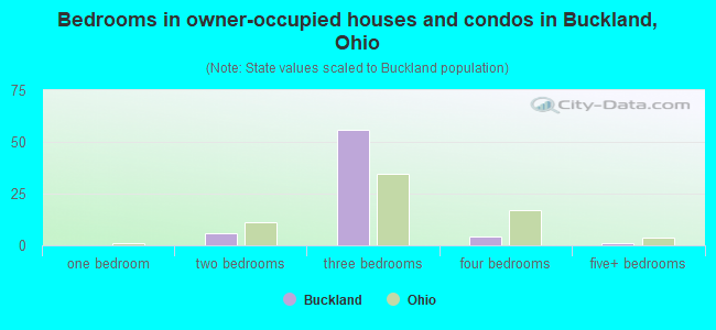 Bedrooms in owner-occupied houses and condos in Buckland, Ohio