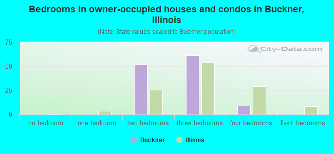 Bedrooms in owner-occupied houses and condos in Buckner, Illinois