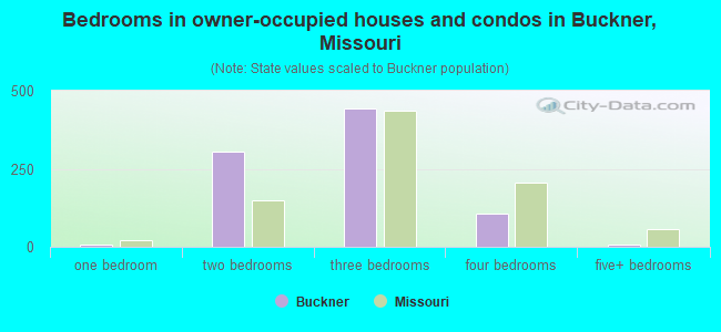 Bedrooms in owner-occupied houses and condos in Buckner, Missouri