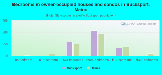 Bedrooms in owner-occupied houses and condos in Bucksport, Maine