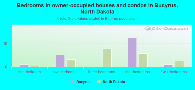 Bedrooms in owner-occupied houses and condos in Bucyrus, North Dakota