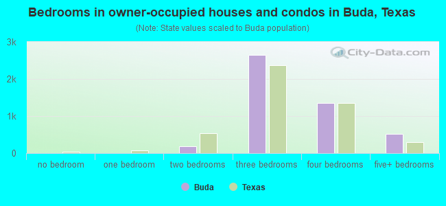 Bedrooms in owner-occupied houses and condos in Buda, Texas