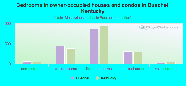 Bedrooms in owner-occupied houses and condos in Buechel, Kentucky