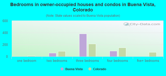 Bedrooms in owner-occupied houses and condos in Buena Vista, Colorado