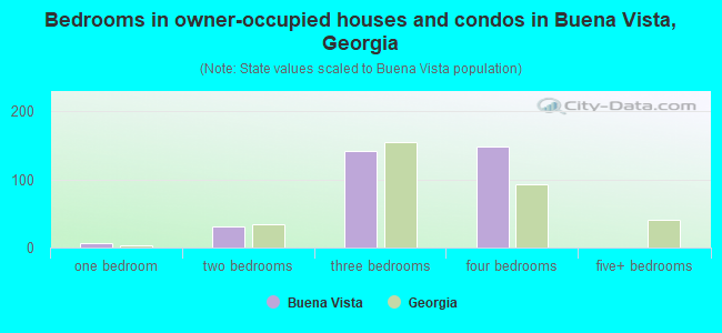 Bedrooms in owner-occupied houses and condos in Buena Vista, Georgia