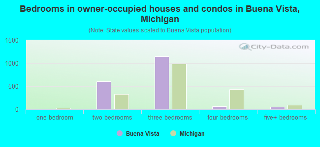 Bedrooms in owner-occupied houses and condos in Buena Vista, Michigan