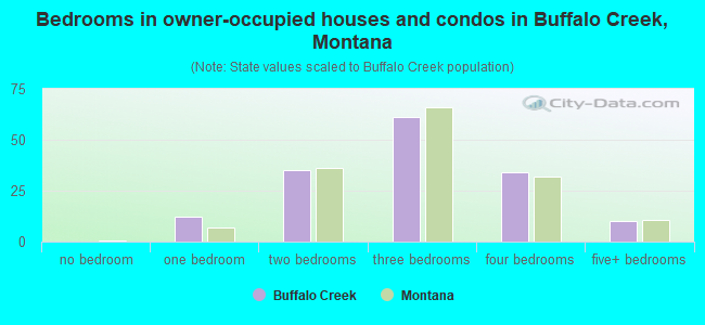 Bedrooms in owner-occupied houses and condos in Buffalo Creek, Montana