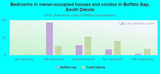 Bedrooms in owner-occupied houses and condos in Buffalo Gap, South Dakota