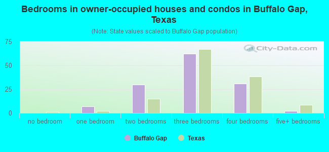 Bedrooms in owner-occupied houses and condos in Buffalo Gap, Texas