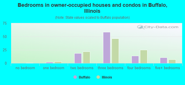 Bedrooms in owner-occupied houses and condos in Buffalo, Illinois