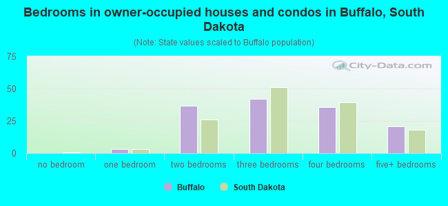 Bedrooms in owner-occupied houses and condos in Buffalo, South Dakota