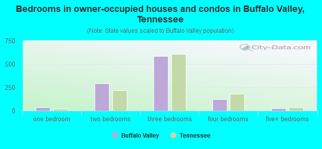 Bedrooms in owner-occupied houses and condos in Buffalo Valley, Tennessee