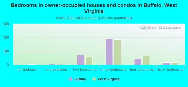 Bedrooms in owner-occupied houses and condos in Buffalo, West Virginia