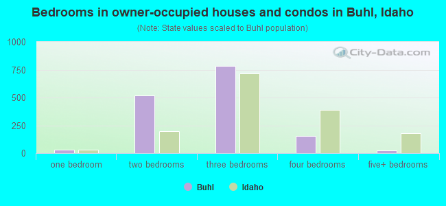 Bedrooms in owner-occupied houses and condos in Buhl, Idaho