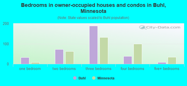 Bedrooms in owner-occupied houses and condos in Buhl, Minnesota