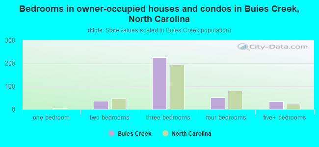 Bedrooms in owner-occupied houses and condos in Buies Creek, North Carolina