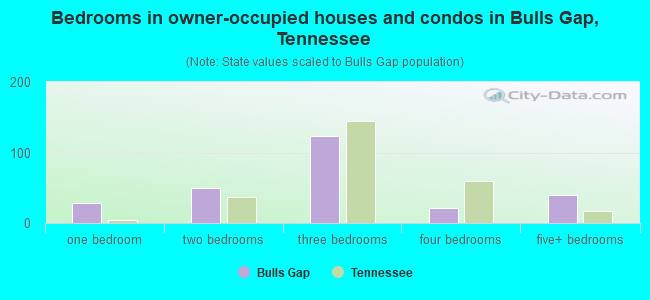 Bedrooms in owner-occupied houses and condos in Bulls Gap, Tennessee