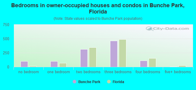 Bedrooms in owner-occupied houses and condos in Bunche Park, Florida