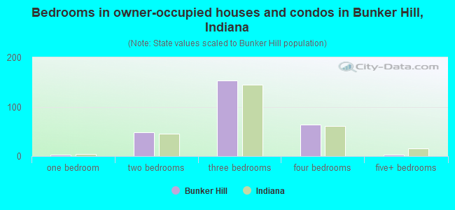 Bedrooms in owner-occupied houses and condos in Bunker Hill, Indiana