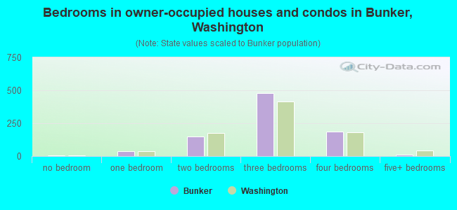 Bedrooms in owner-occupied houses and condos in Bunker, Washington