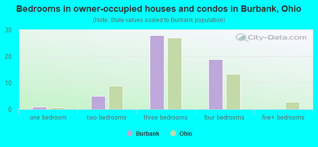 Bedrooms in owner-occupied houses and condos in Burbank, Ohio