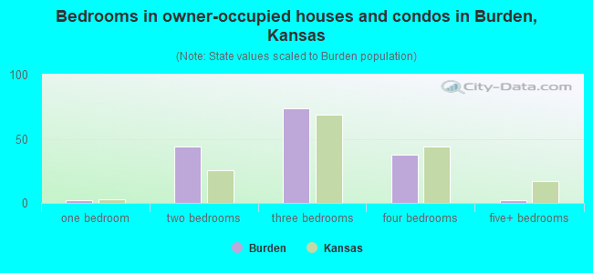 Bedrooms in owner-occupied houses and condos in Burden, Kansas