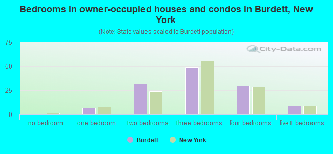 Bedrooms in owner-occupied houses and condos in Burdett, New York