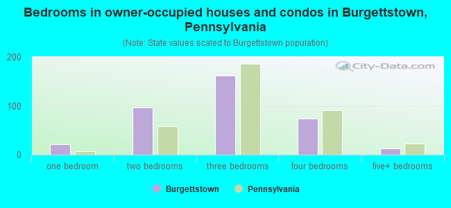 Bedrooms in owner-occupied houses and condos in Burgettstown, Pennsylvania