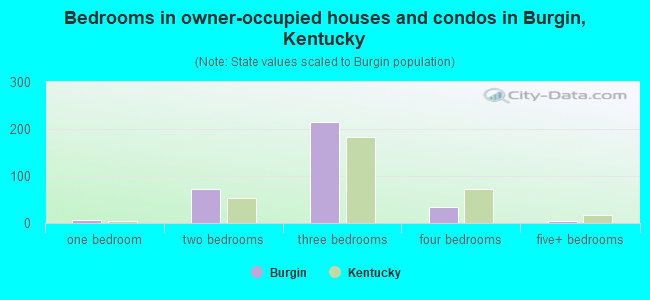Bedrooms in owner-occupied houses and condos in Burgin, Kentucky