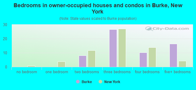 Bedrooms in owner-occupied houses and condos in Burke, New York