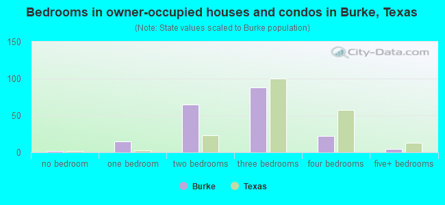 Bedrooms in owner-occupied houses and condos in Burke, Texas