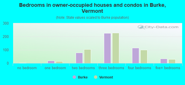 Bedrooms in owner-occupied houses and condos in Burke, Vermont