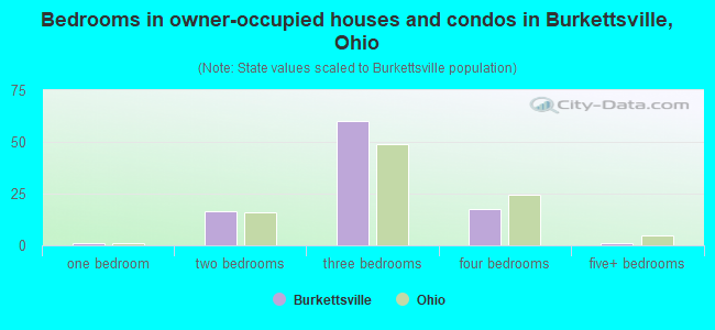 Bedrooms in owner-occupied houses and condos in Burkettsville, Ohio
