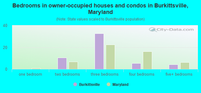 Bedrooms in owner-occupied houses and condos in Burkittsville, Maryland