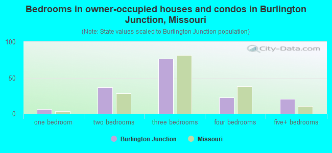 Bedrooms in owner-occupied houses and condos in Burlington Junction, Missouri
