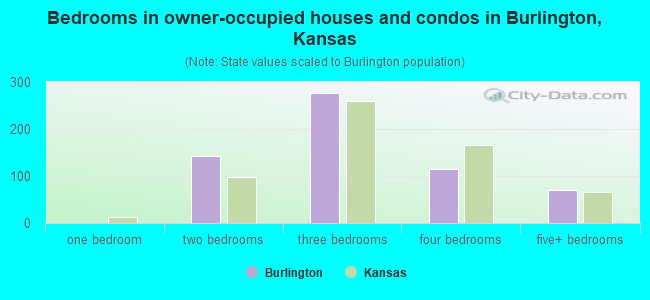 Bedrooms in owner-occupied houses and condos in Burlington, Kansas