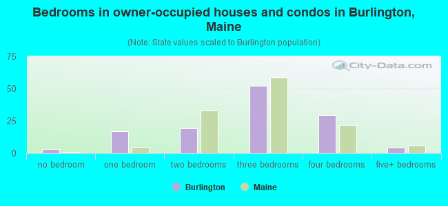 Bedrooms in owner-occupied houses and condos in Burlington, Maine
