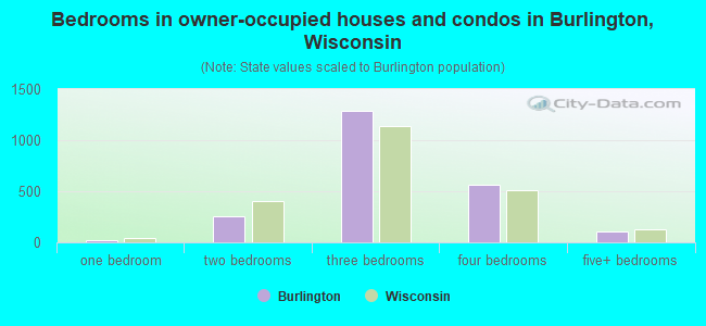 Bedrooms in owner-occupied houses and condos in Burlington, Wisconsin