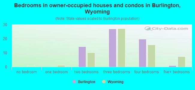 Bedrooms in owner-occupied houses and condos in Burlington, Wyoming