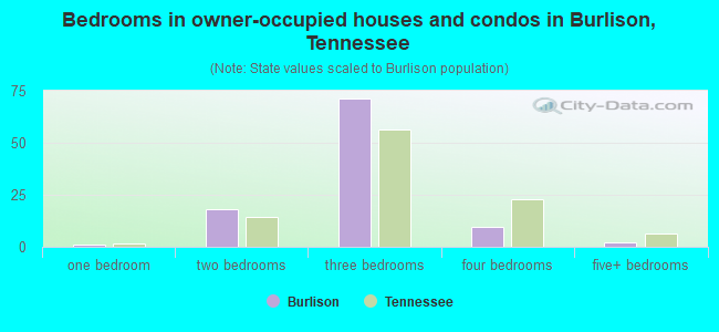 Bedrooms in owner-occupied houses and condos in Burlison, Tennessee